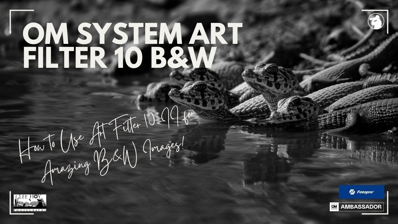OM System Art Filter 10 II Black-and-White — как использовать для пейзажной и дикой фотографии