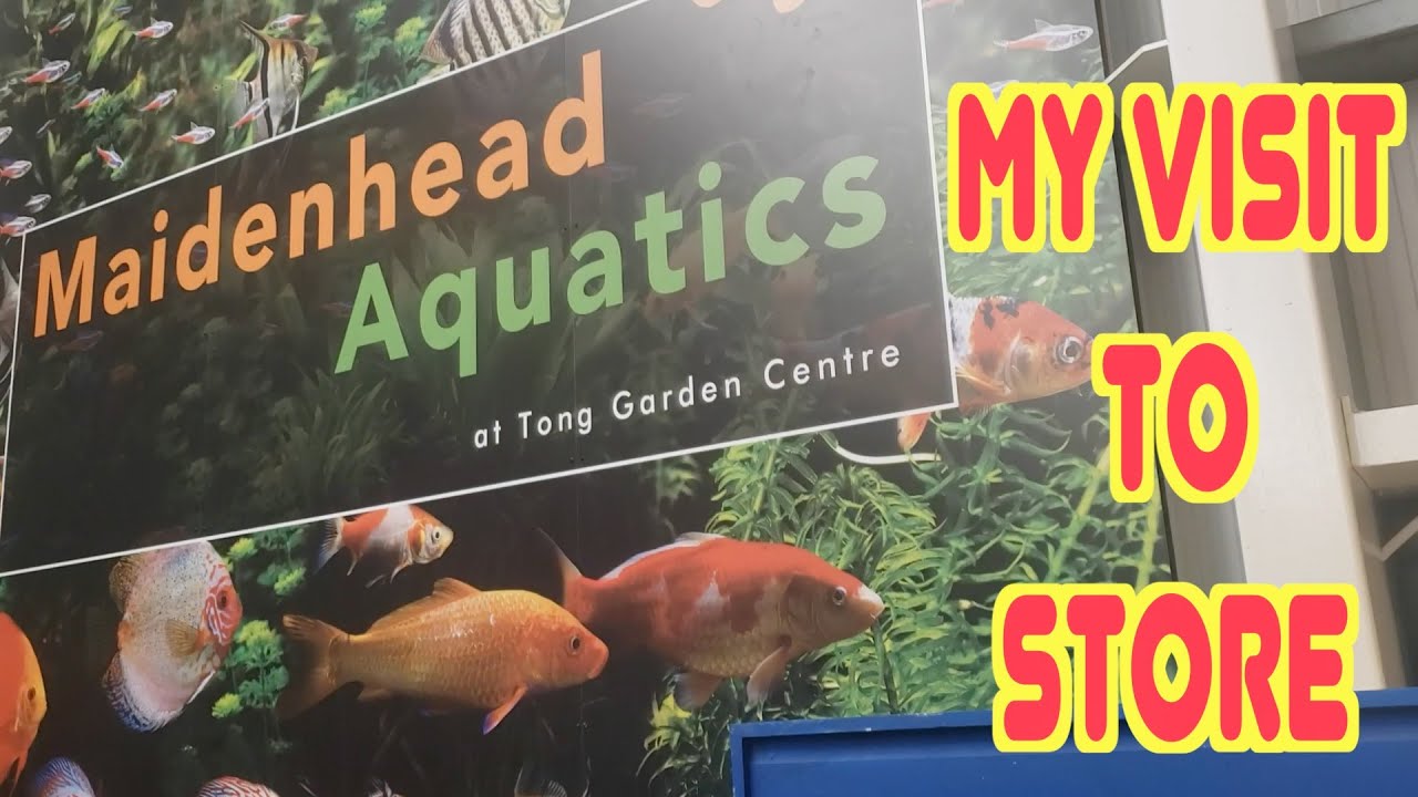 Maidenhead Aquatics Tong Garden Centre Visit