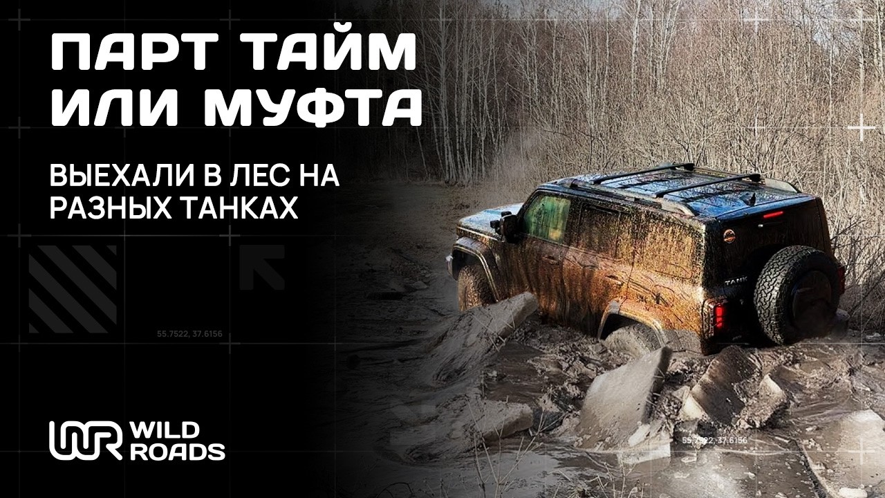 ПАРТ ТАЙМ ИЛИ МУФТА? ПУСТЬ РАССУДИТ ЛЕС