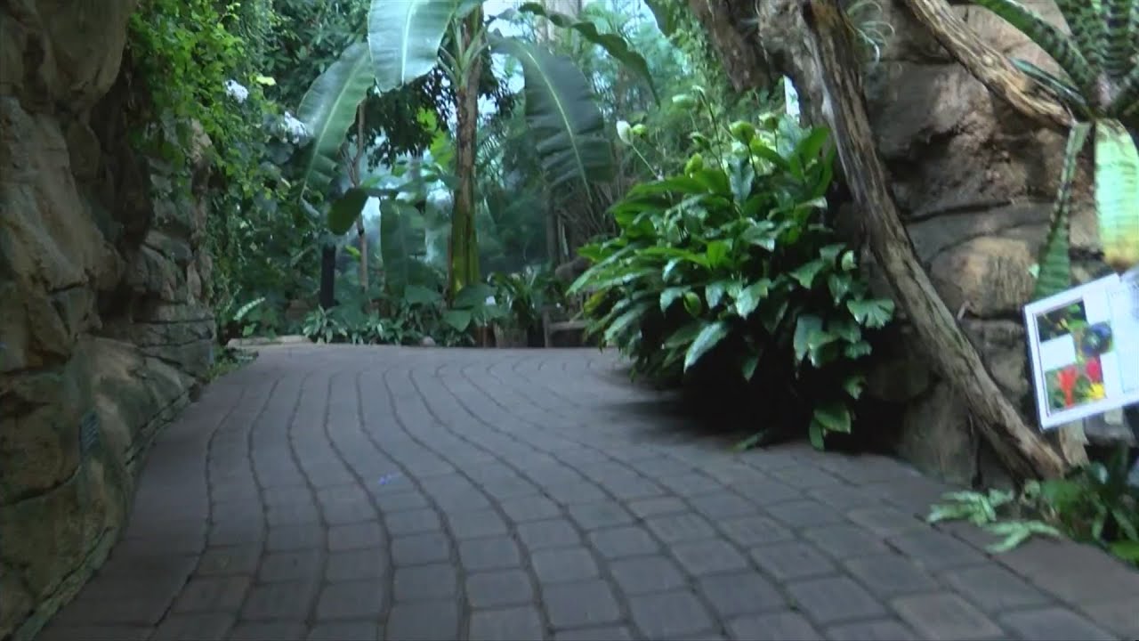 Destination Illinois: Rock Island's Botanical Center