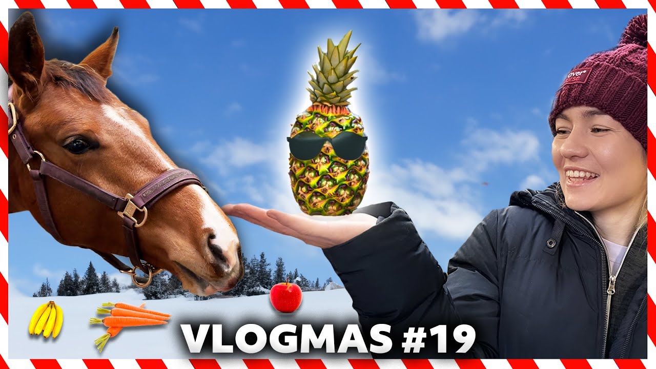 TEST SMAKU LOVKI | VLOGMAS #19