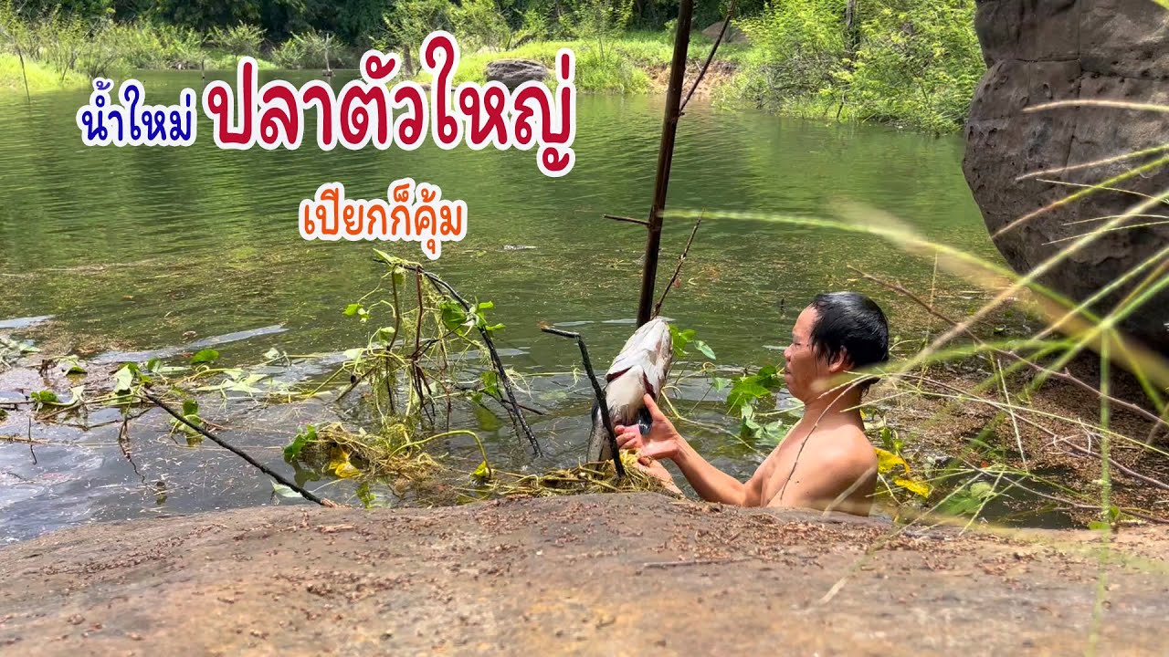 น้ำใหม่ปลามีแต่ไซส์ใหญ่ งานนี้เปียกเป็นเปียก