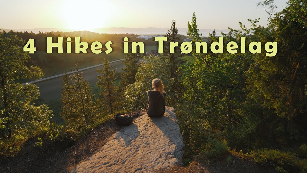 Days 12–15: Exploring Hidden Trails of Trøndelag | Castles, Fjords & Forests