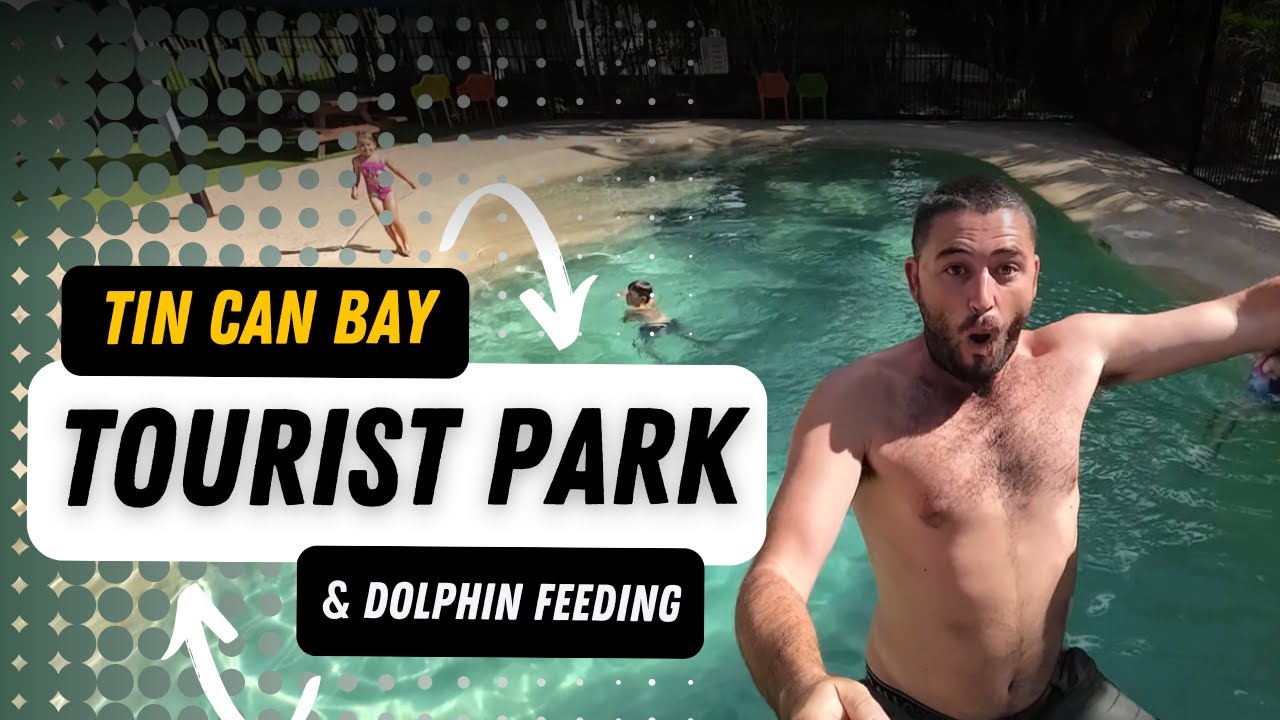 Tin Can Bay Tourist Park | Dolphin Feeding