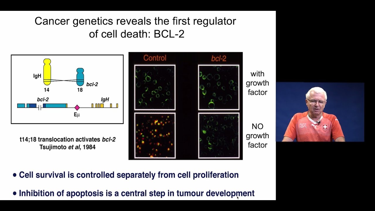 IRE Young Academy, Andreas Strasser - Cell death and cancer