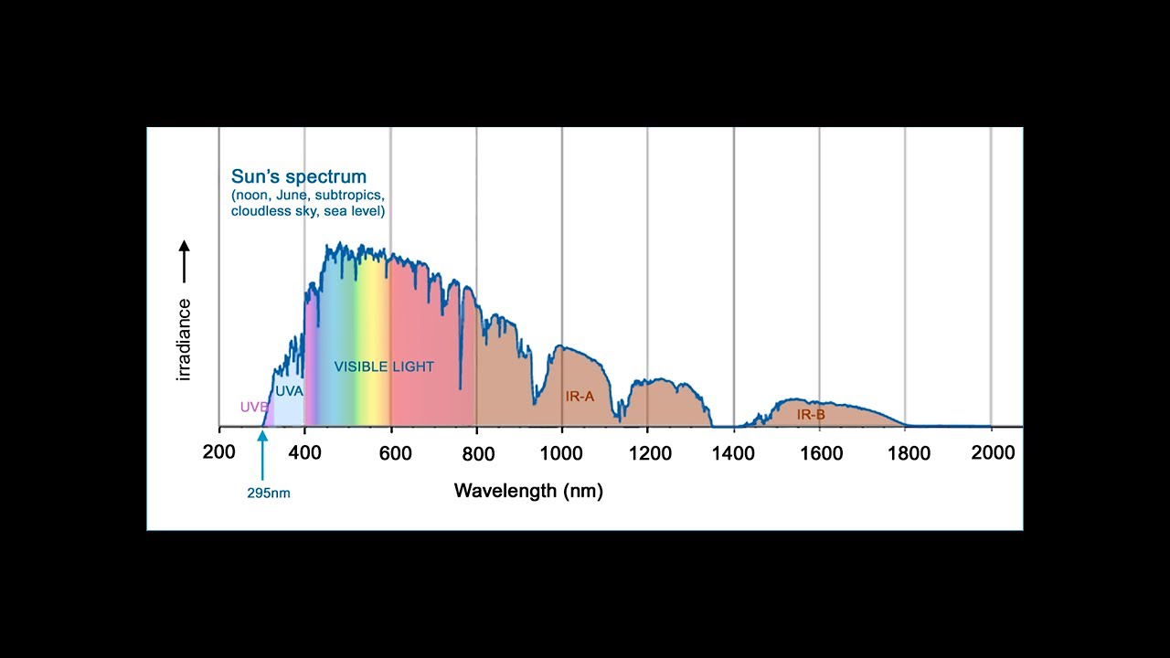 UV-VISIBLE-IR Do Captive Reptiles NEED FULL Spectrum light?