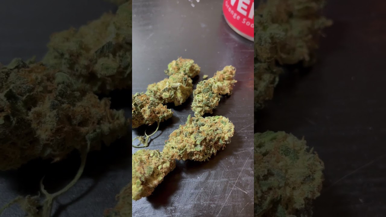 Orange Soda by PTS Review