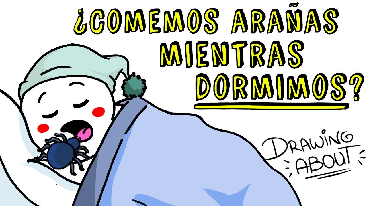 ¿COMEMOS 8 ARAÑAS AL AÑO MIENTRAS DORMIMOS? 🕷 | Draw My Life