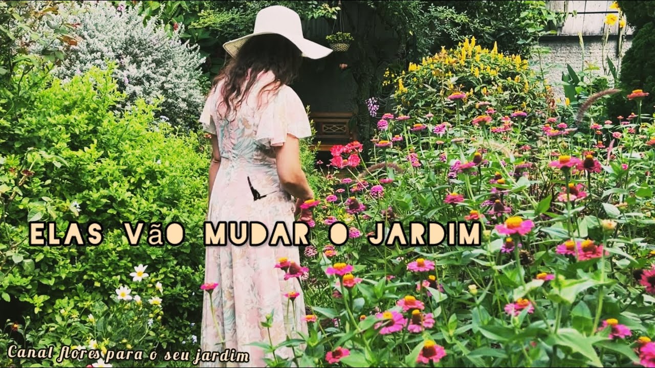 10 Flores Que Estão Explodindo em Cores Neste Verão! 🌞🌸