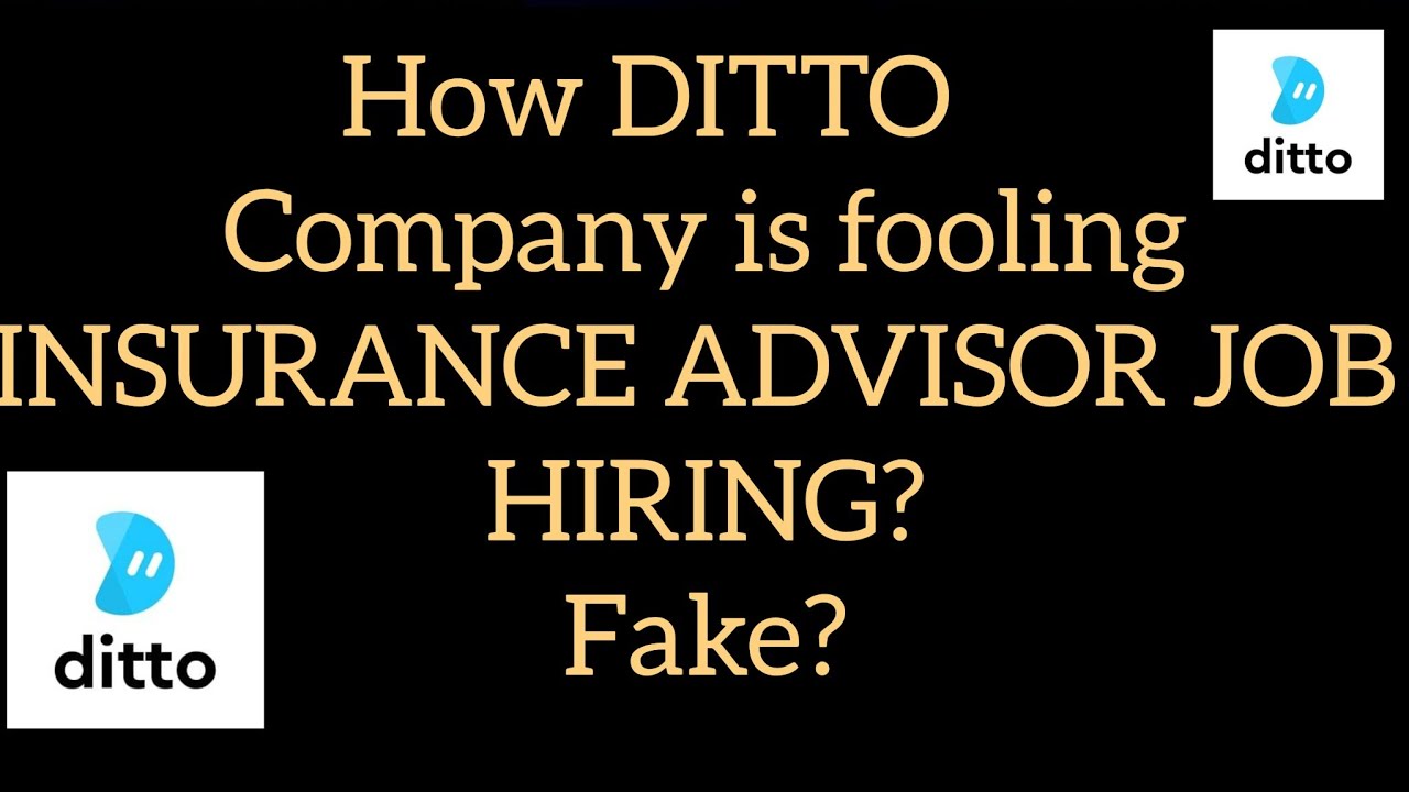 Ditto Insurance Advisor Job| Fake| Fooling people| No Hiring|With Proof