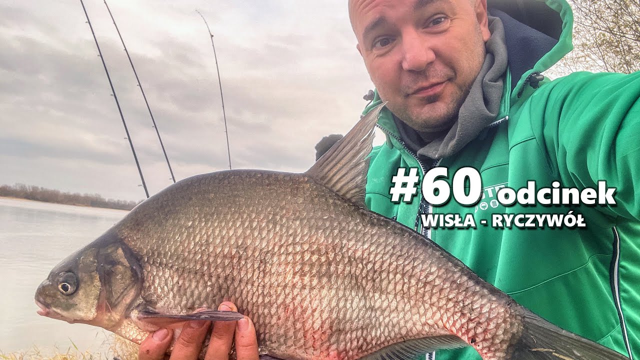 Jesienne leszcze na feeder klasyczny | 60. odcinek – Ryczywół