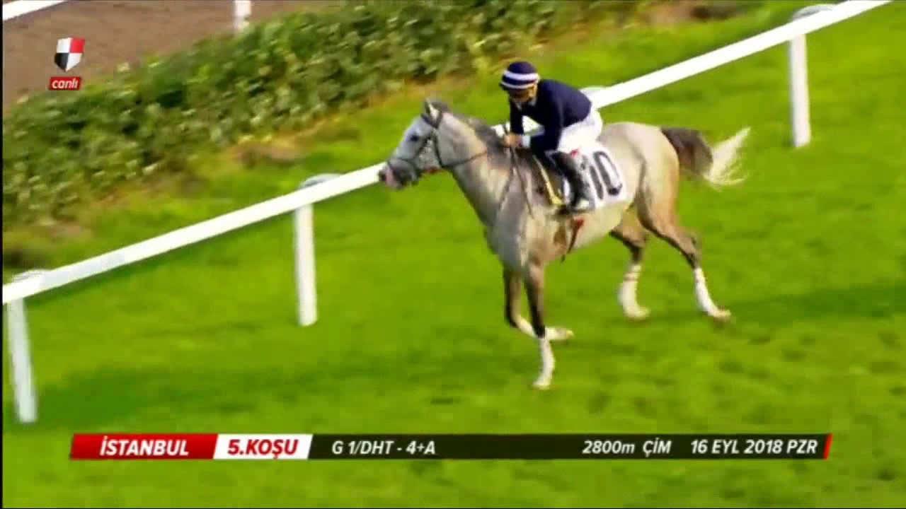 VELİEFENDİ KOŞUSU 2018