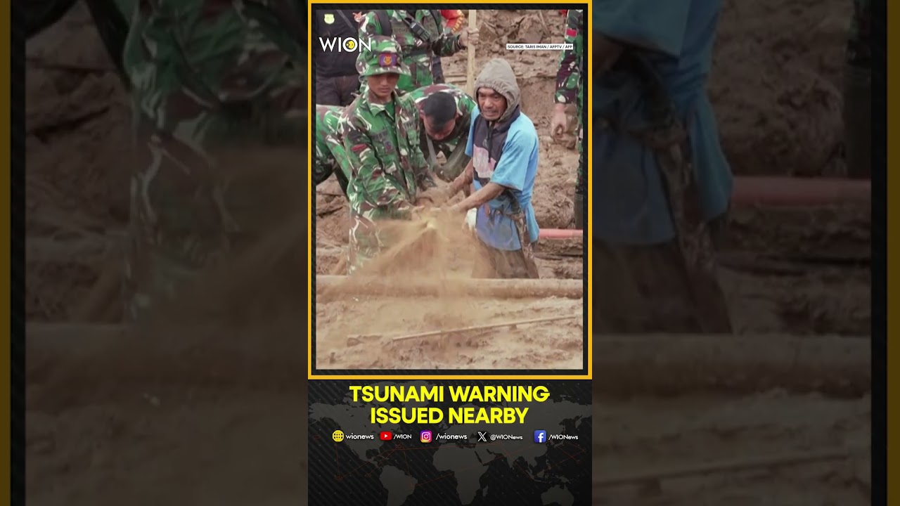 Indonesia Earthquake: 7.4-Magnitude Earthquake Strikes Eastern Indonesia, Tsunami Alert |WION Shorts