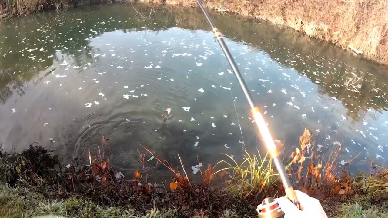 Pesce al primo lancio, me ne vado