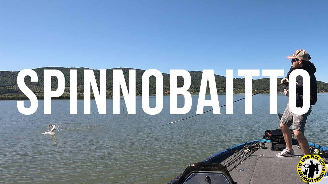 Spinnobaitto