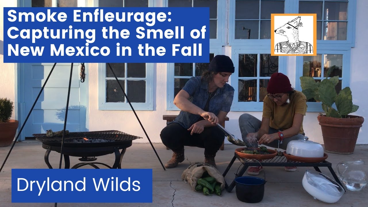 Smoke Enfleurage: Capturing the Smell of New Mexico in the Fall with Dryland Wilds