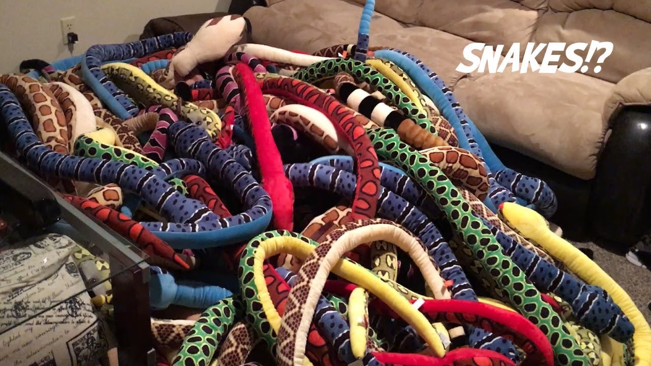 What to do when you have 100 snakes