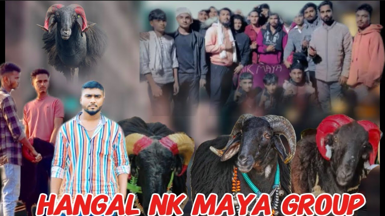 Hangal NK Maya group Havire  Karnataka hangal NK Maya