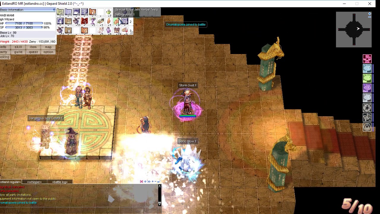 High Wizard 99/70 150int 140dex Ragnarok Pvp
