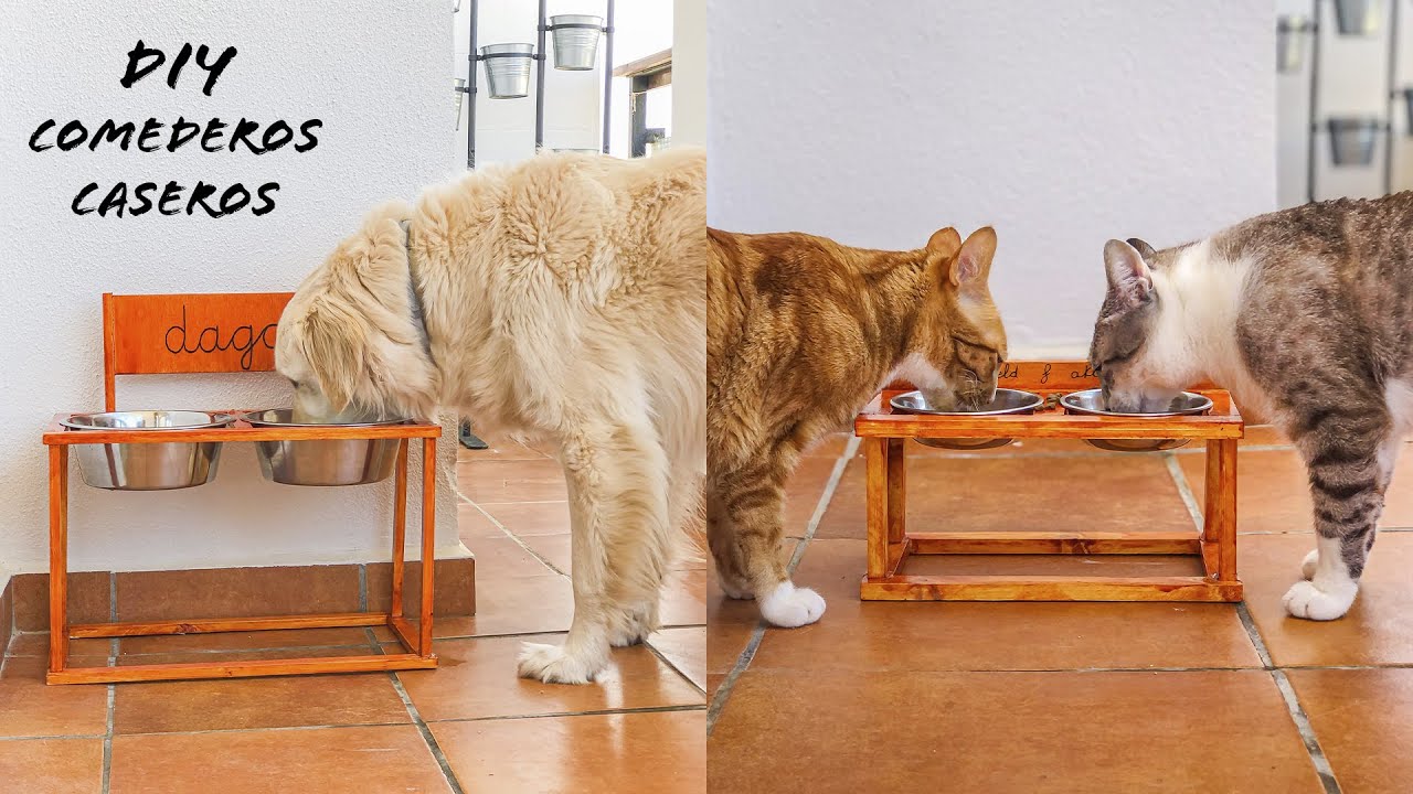 DIY Comederos para perros y gatos caseros y fáciles