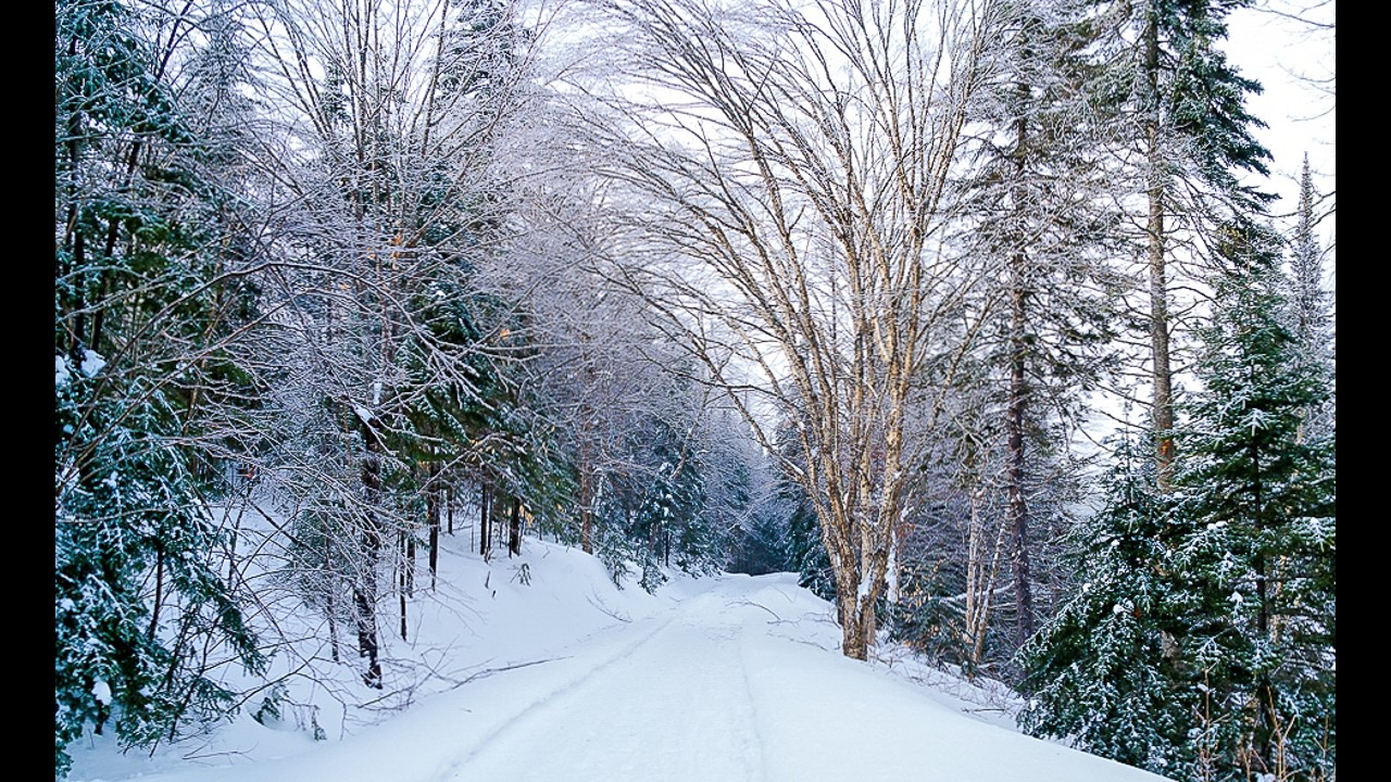Mont-Tremblant National Park - Winter Hiking