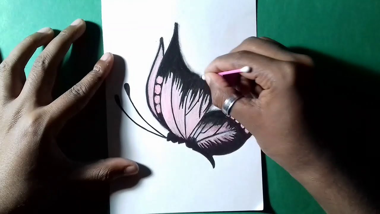 make butterfly drawing with charcoal pencil drawn