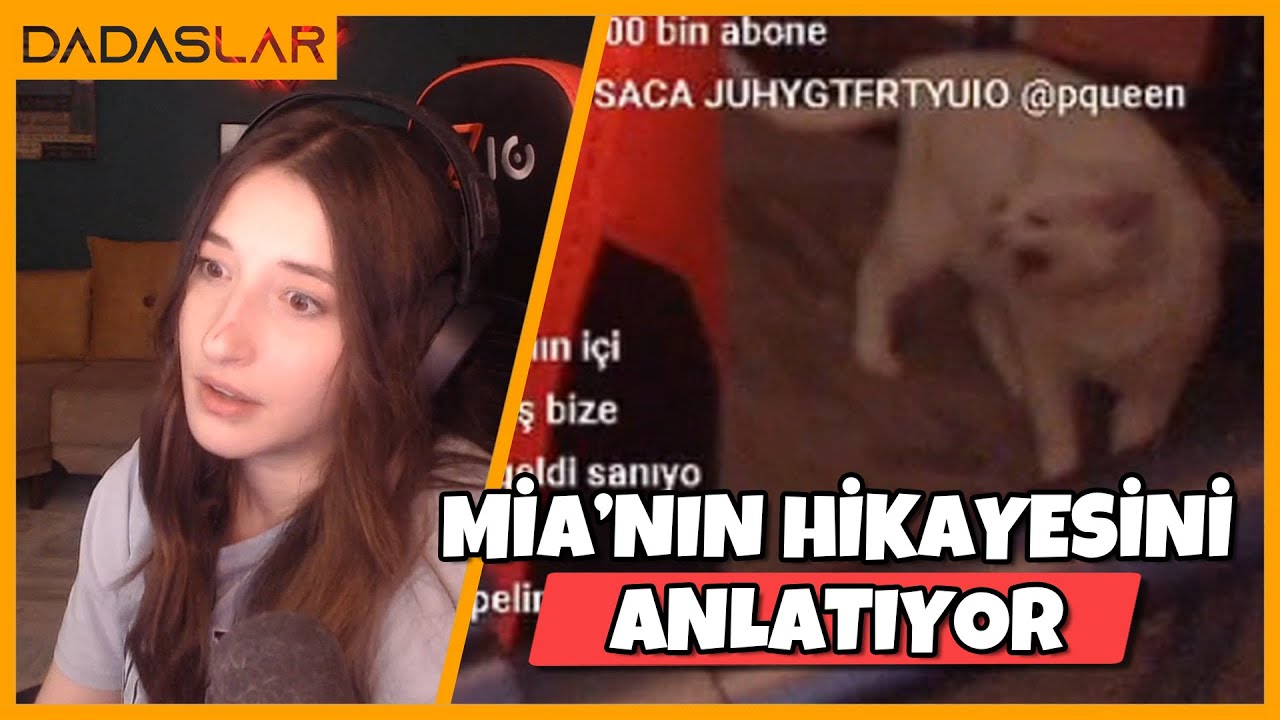 Pqueen - Kedisi Mia'yı Nasıl Sahiplendiğini Anlatıyor !