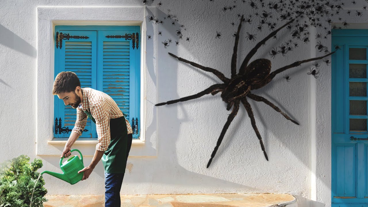 E Se, Um Dia, Aranhas Gigantes Ocupassem Sua Cidade