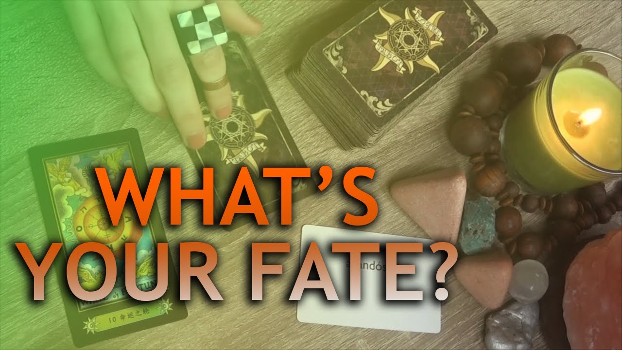 🫧 ASMR Tarot Reader Helps You Relax Your Mind 🫧 Can you Answer My Question?
