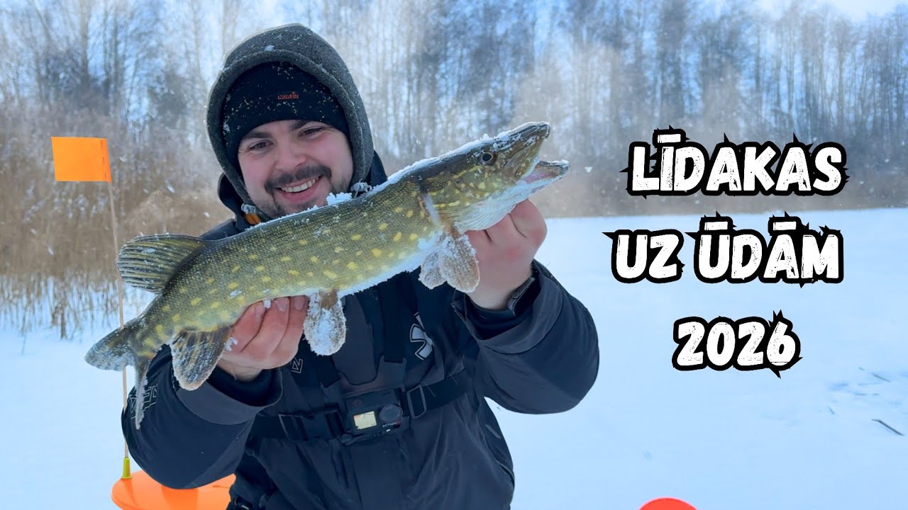 Labāku sezonas sākumu nevarēju vēlēties! Rezultatīva līdaku cope ar ūdām! Zemledus cope! S26E2