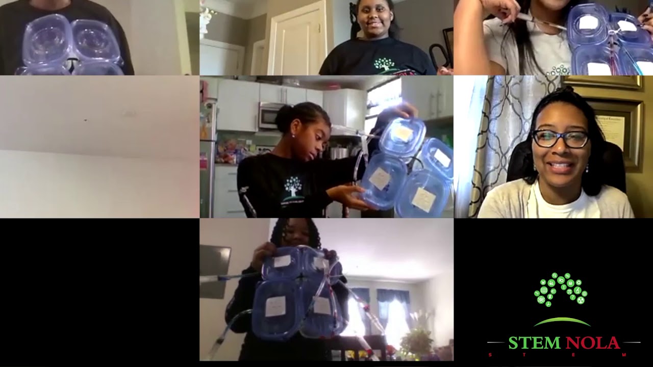 Jack and Jill of Washington D.C. Virtual STEM Saturday | Hearts - January 23, 2021
