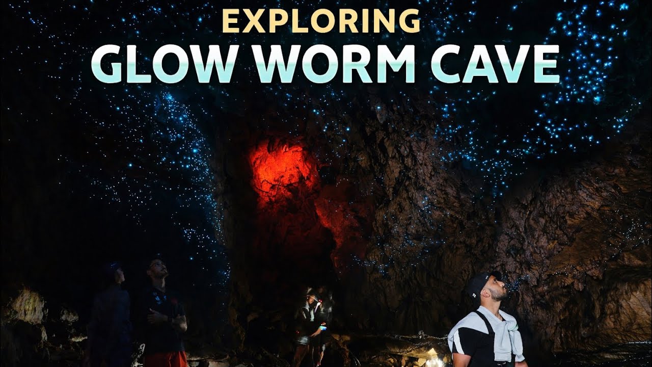 ഒരു Glow Worm Cave കണ്ടാലോ!