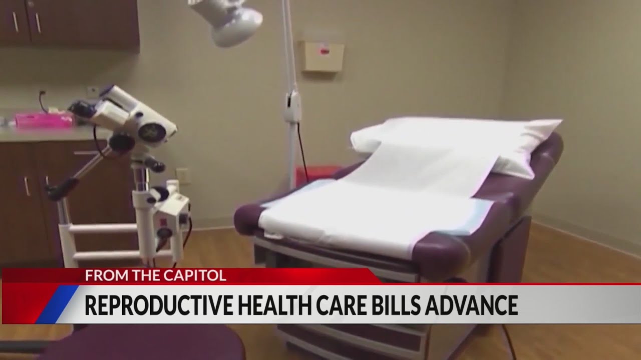 Abortion, gender-affirming &lsquo;shield law&rsquo; passes House