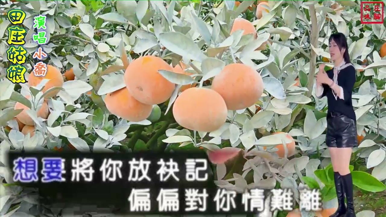 #田庄姑娘(陳小雲) - 嘉義街頭藝人 小喬 演唱 (背景:竹山農特產 茂谷園)
