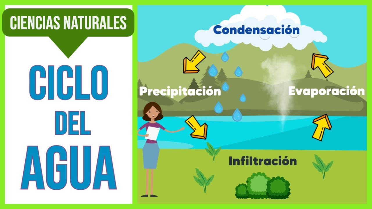 🏔️ Ciclo del agua | Ciclo hidrológico 🌧️
