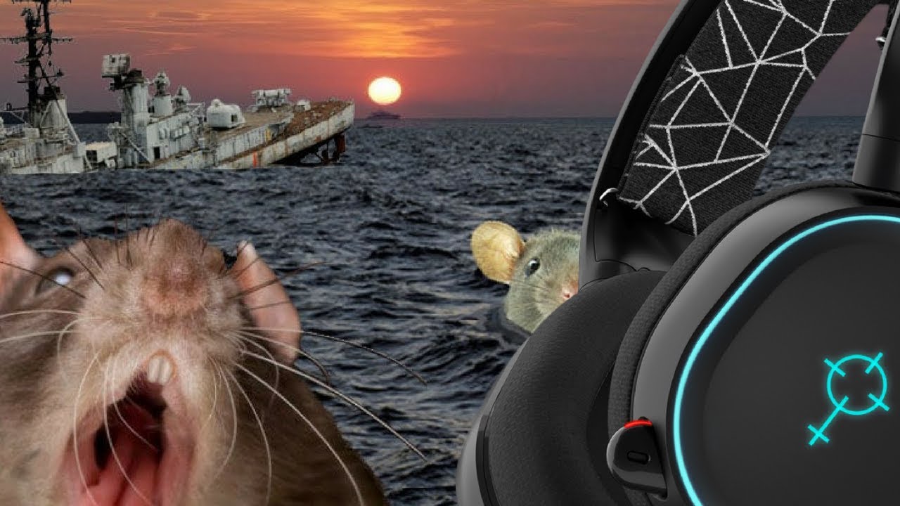RATS FLEE THE SINKING BULLY HUNTERS SHIP (STEEL SERIES LOOKS GUILTY)