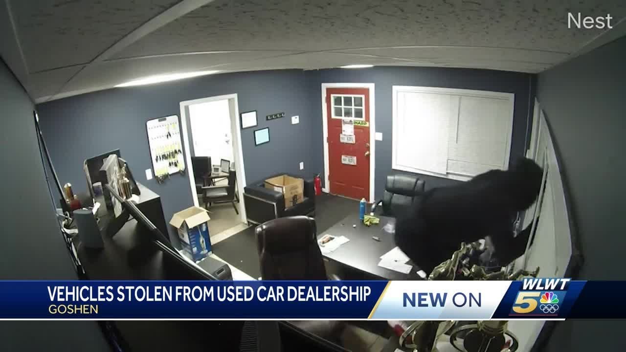 Brazen car theft caught on camera as thieves smash through dealership window to grab keys