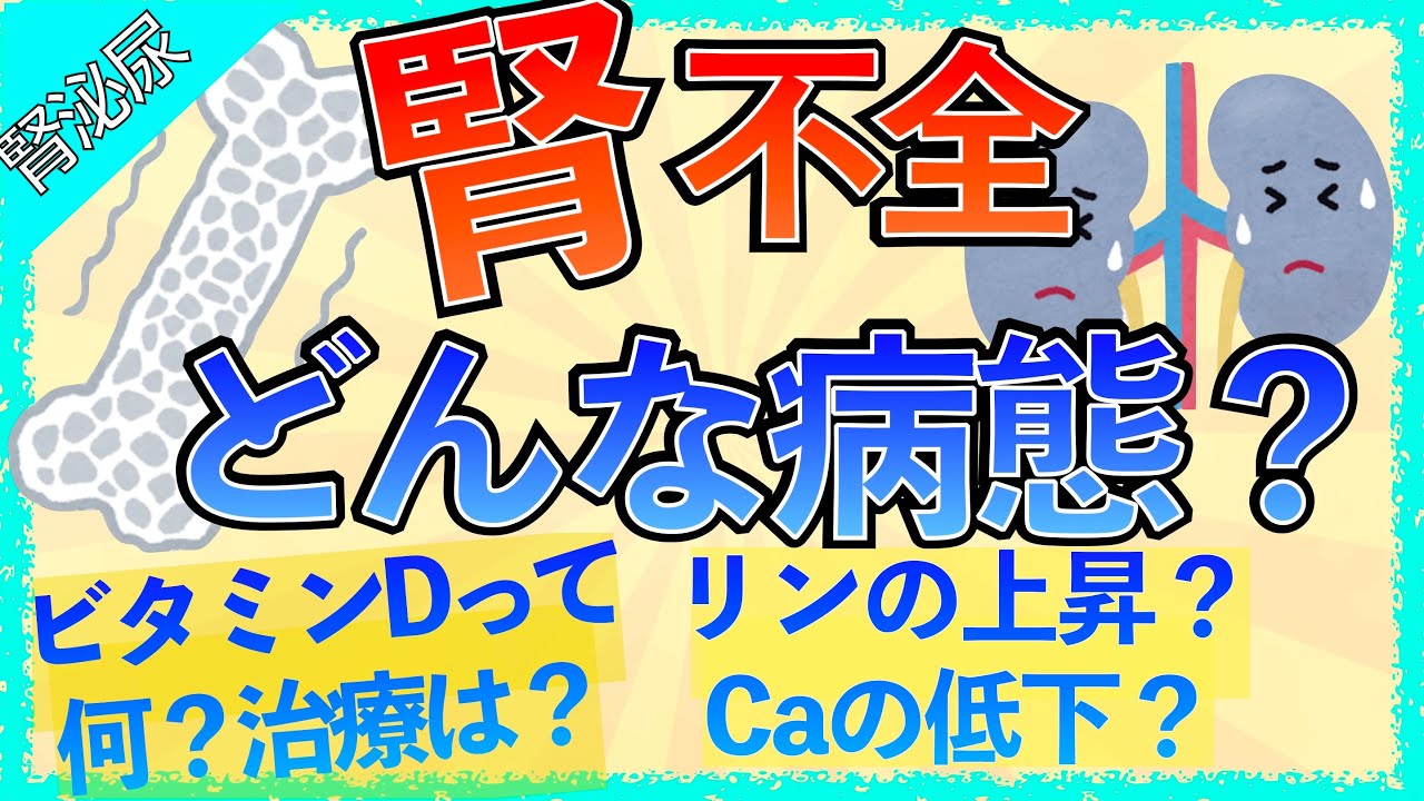 イラストで学ぶ医学！「腎不全ってどんな病気？」リンが上がる理由/カルシウムが低下する理由/活性型ビタミンDとは/治療とは