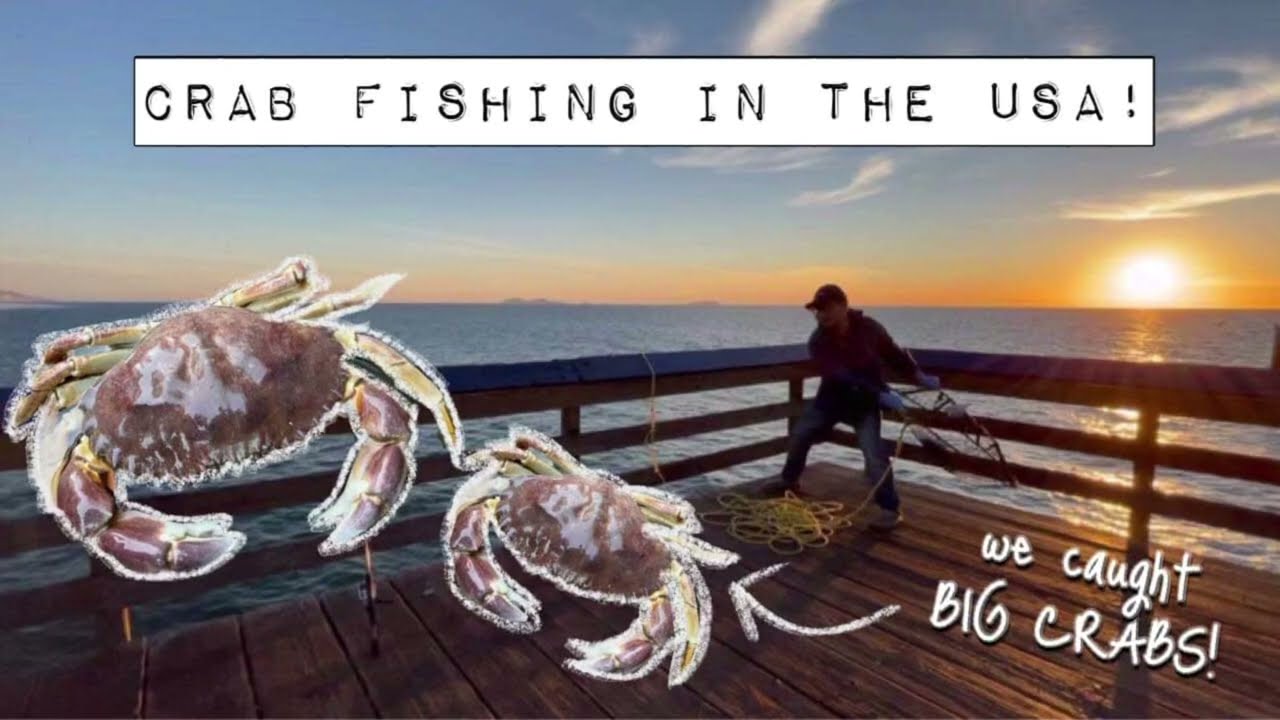 Crab Fishing in the USA… we got LOTS of Crabs 🦀 😱😍#sandiego #imperialbeach #crabfishing