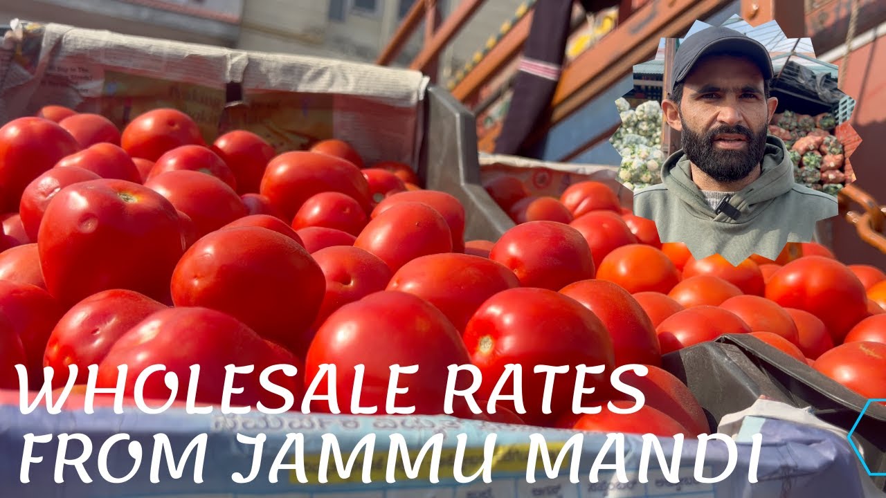 Jaaniye taaza sabziyo ke wholesale rates sabzi mandi narwal Jammu se/ Farming station
