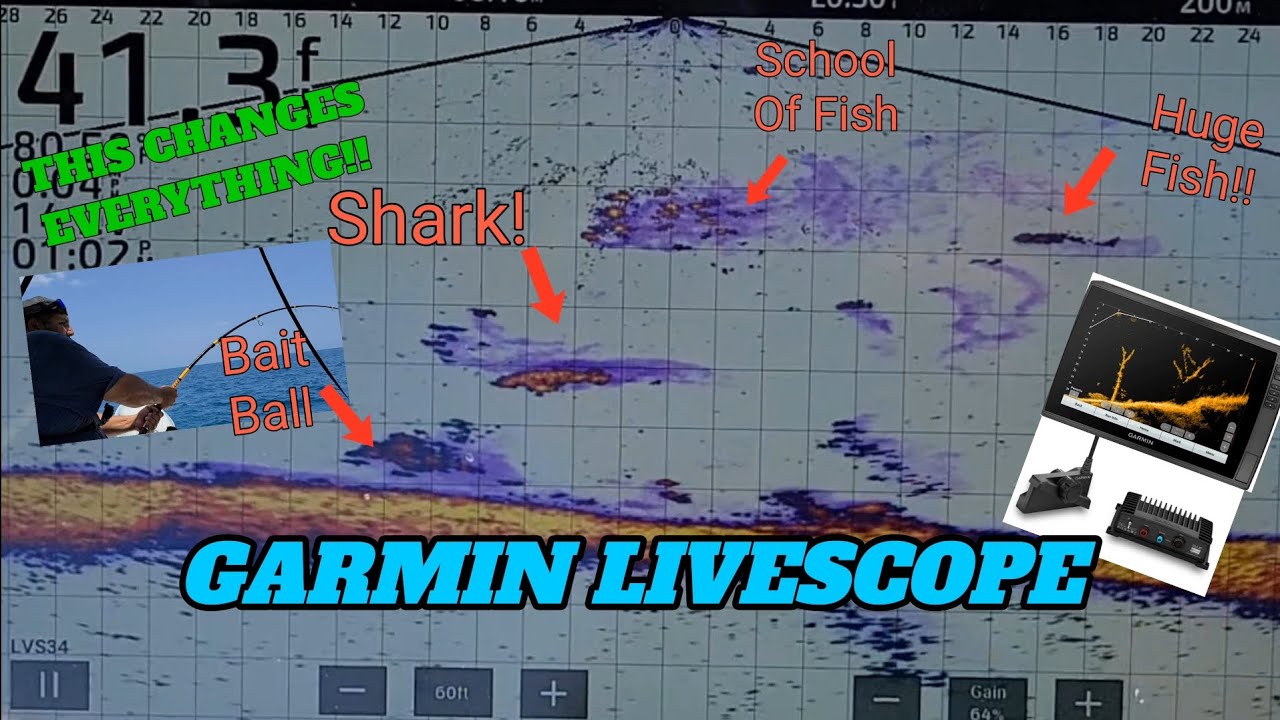 GARMIN LIVESCOPE HOW TO USE FISHING SALTWATER #FISHING #FISHINGVIDEO #LIVESCOPE #Florida #shimano
