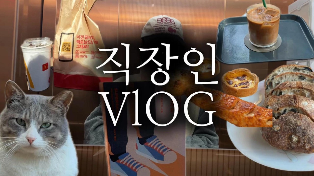 10년차 직장인 브이로그 | 홈 프로텍터로 보낸 연휴 제법 자택경비원 잘어울려 (길냥이, 뺑스톡, 판교 핫도그, 주먹밥 만들기)