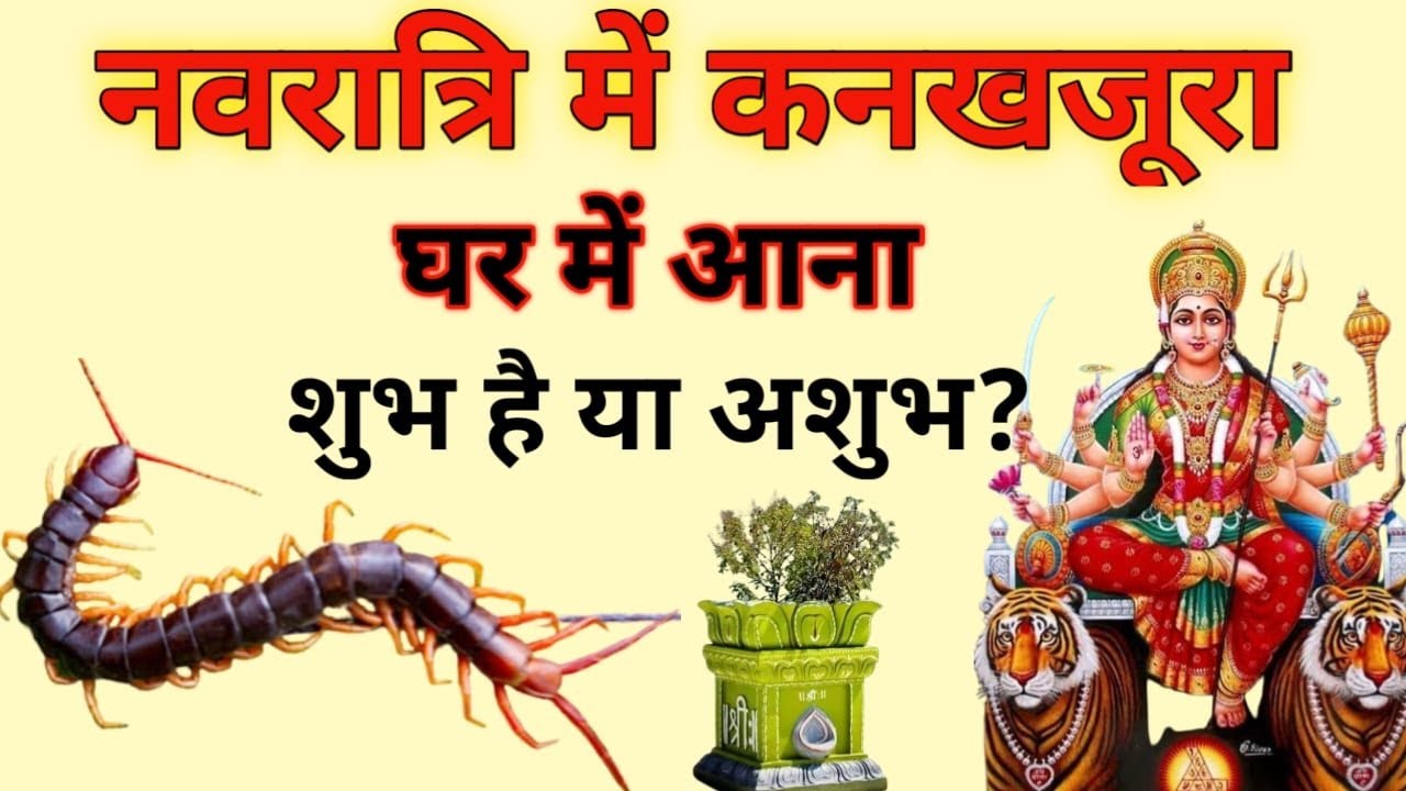 जानिए नवरात्रि में अगर घर में दिख जाए कनखजूरा तो शुभ होता है या अशुभ #navratri