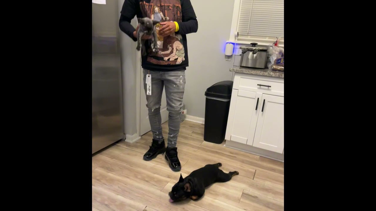 Redmanyfn - Let’s Keep Pretending Remix (Official Audio)