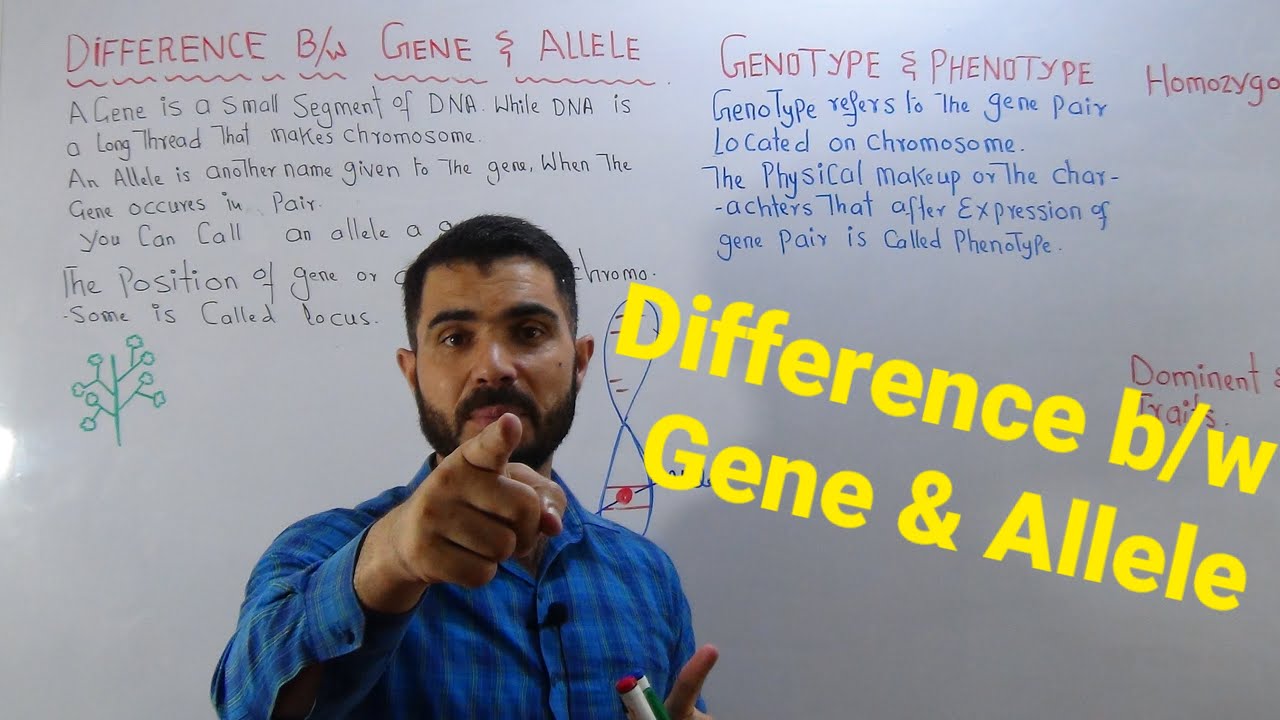 L-4 Difference between Gene and Allele // Gene and Allele same or different?