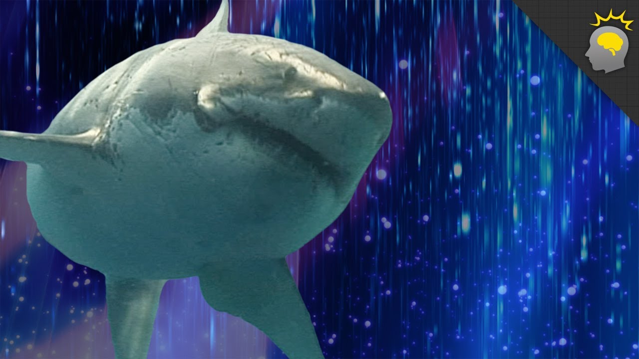 Sharks That Kill Without Jaws - Epic Science #36