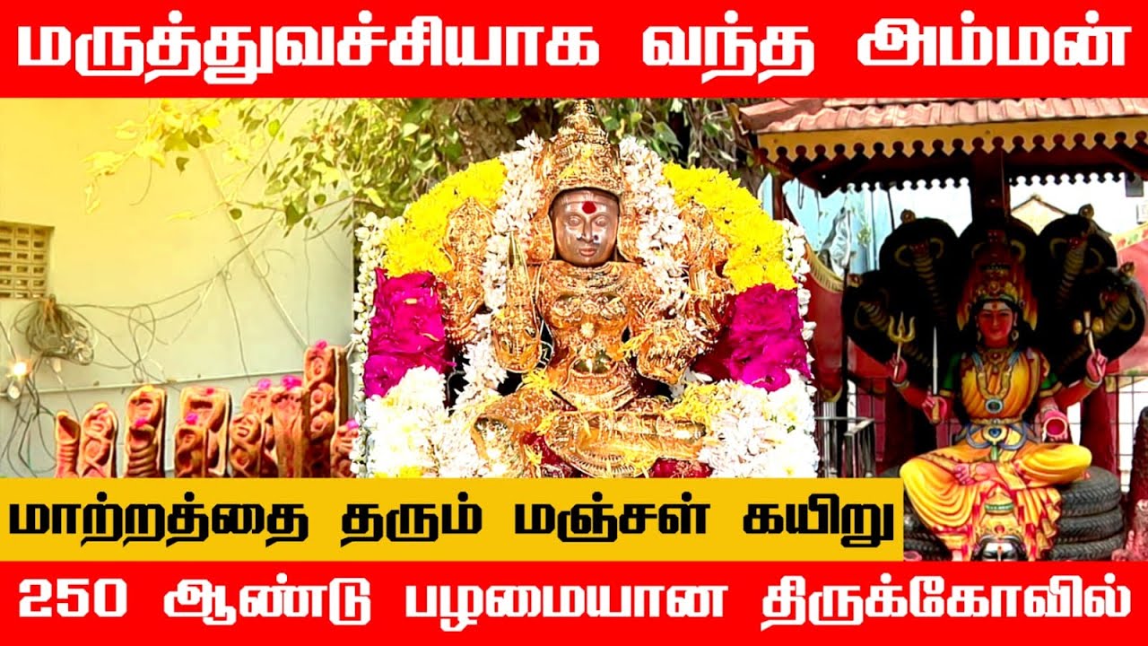 தீராத நோய்களை தீர்த்துவைக்கும் அதிசிய அம்மன் ஆலயம் | Sri Karkodiyamman Temple | Nungambakkam