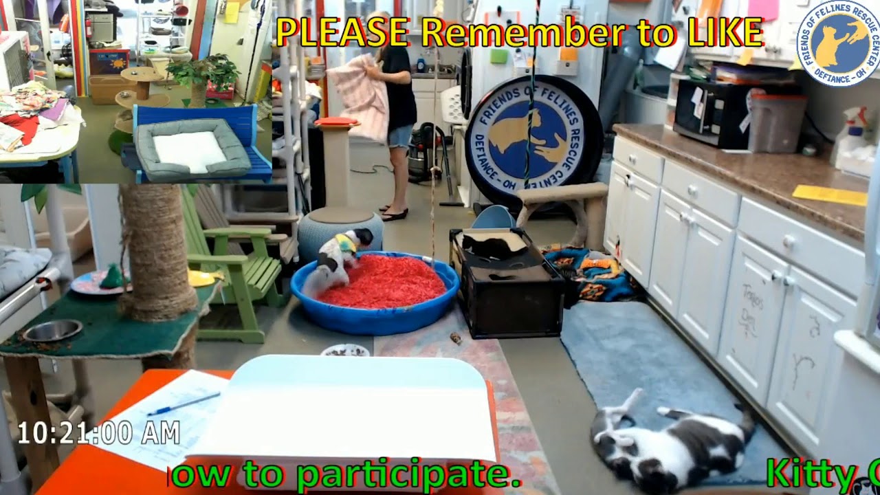 FFRC moment - Imogene, Derecho, & Janie - 2018.09.12