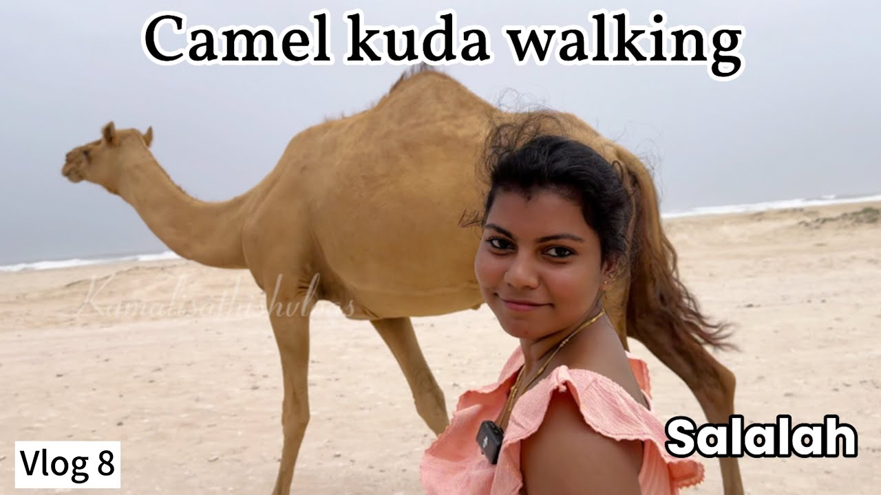 Running towards camel 🐪 | என்னடா இது நமக்கு வந்த சோதனை | Actual ah Guys 😂 |Dubai to Salalah | Vlog 8