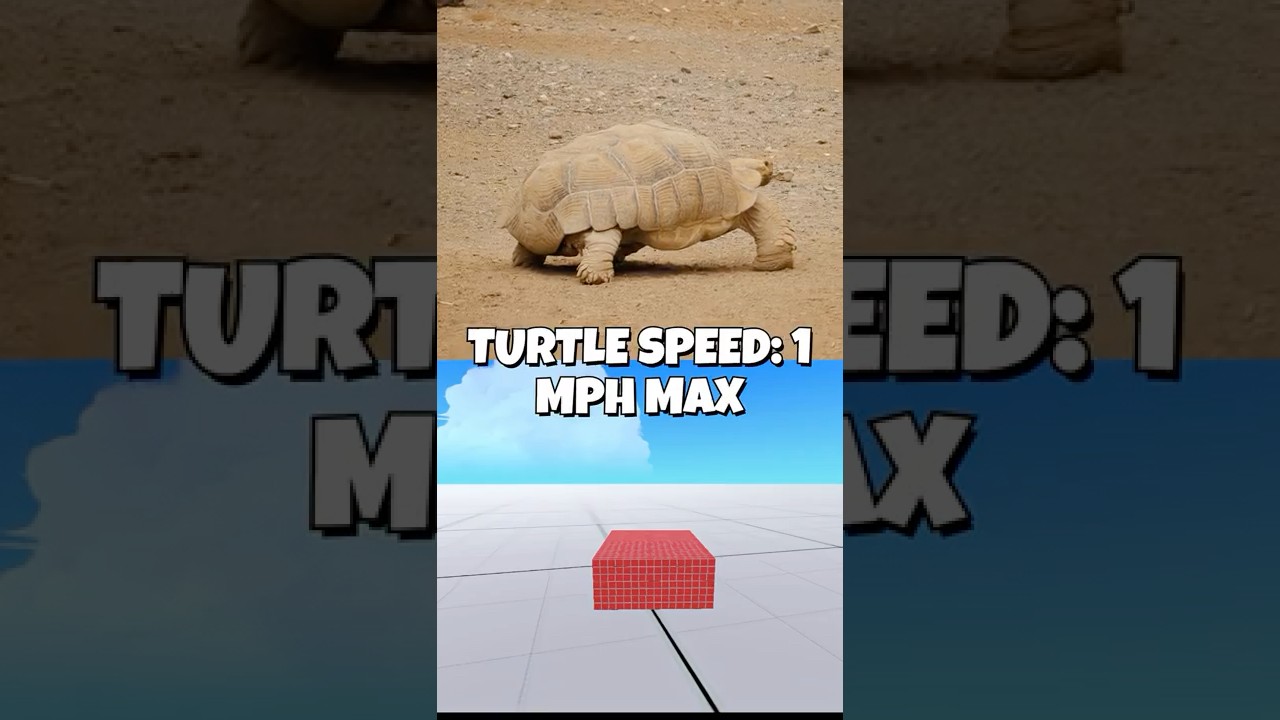 I Built the Slowest Car in Trailmakers!?